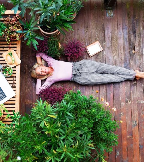 Piante da giardino e terrazzo per api