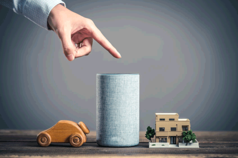 Smart Speaker; Google Home; amazon Echo; Alexa