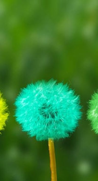 Ventilazione-naturale