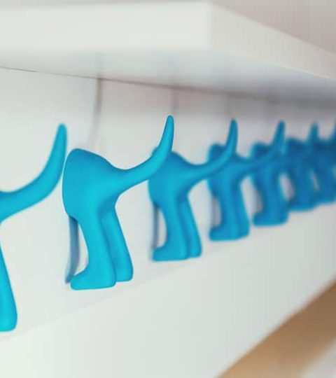 appendiabiti da ingresso; appendiabiti a parete;